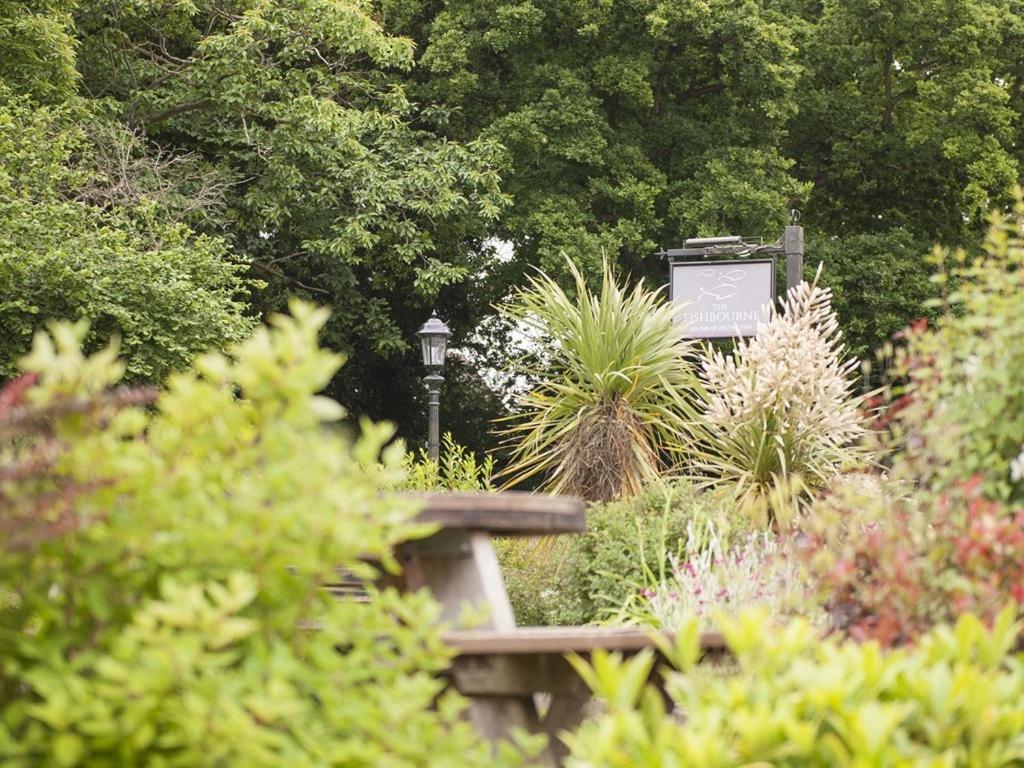 Fishbourne 费什本宾馆住宿加早餐旅馆 外观 照片